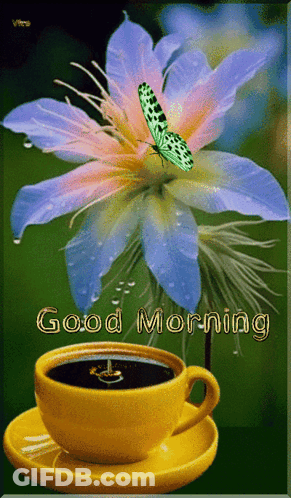 Flower And Coffee Cup Good Morning GIF