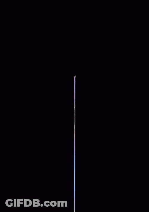 Flower Blooming Loop GIF