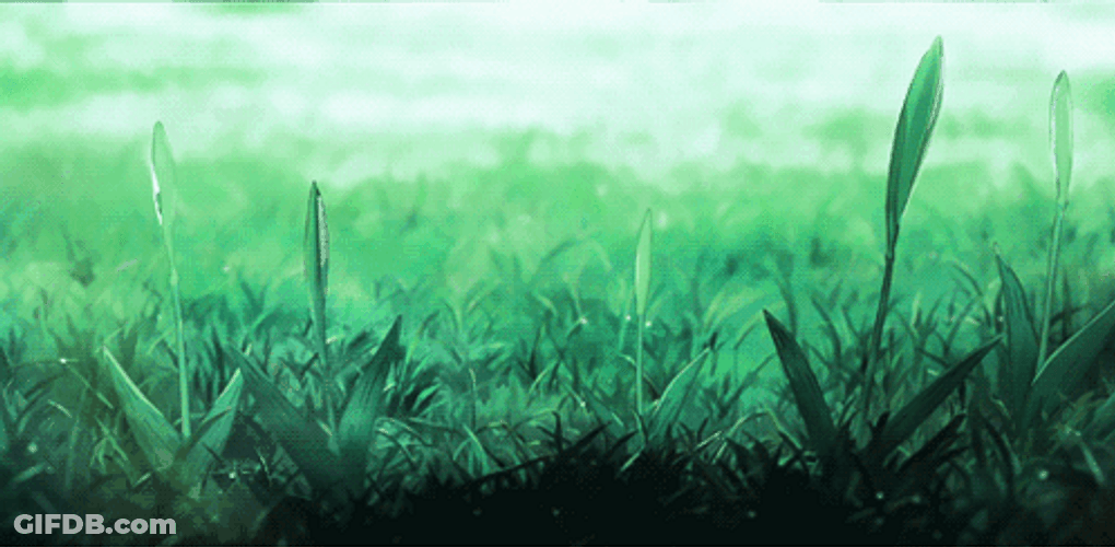 Flower Blooming Timelapse Discord Banner GIF