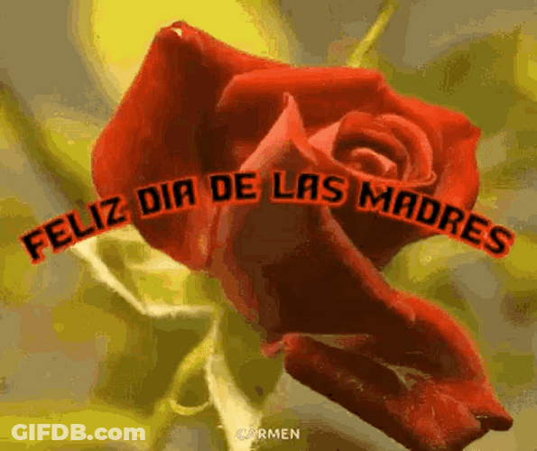 Flower Blooms Feliz Dia De Las Madres Amiga GIF