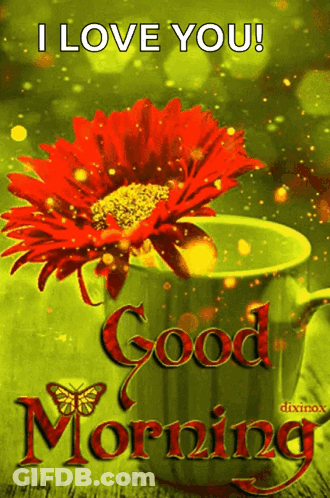 Flower In Cup Saying I Love You GIF