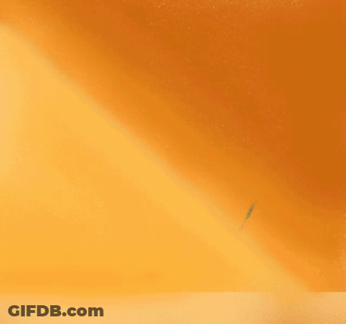 Flower In Green Vase GIF