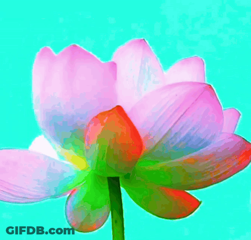 Flower Painting Saying Good Morning GIF