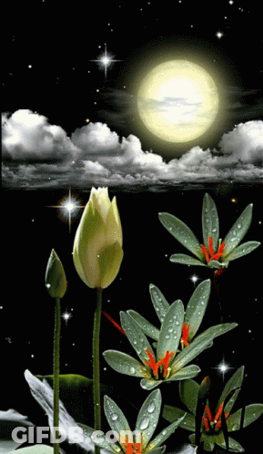 Flower Painting With Full Moon GIF
