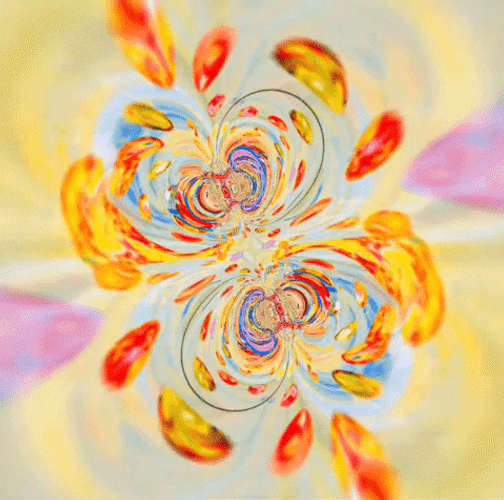 Flower Pattern Hypnosis Spiral GIF