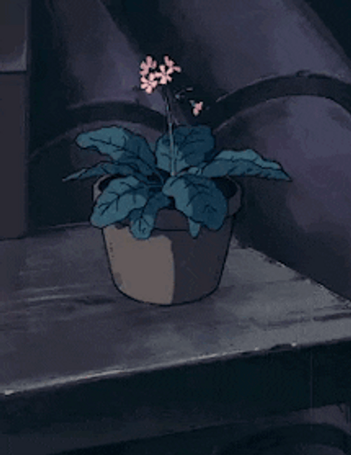 Flower Pot Aesthetic PFP GIF