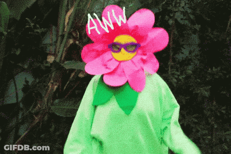 Flower Power Rainbow GIF