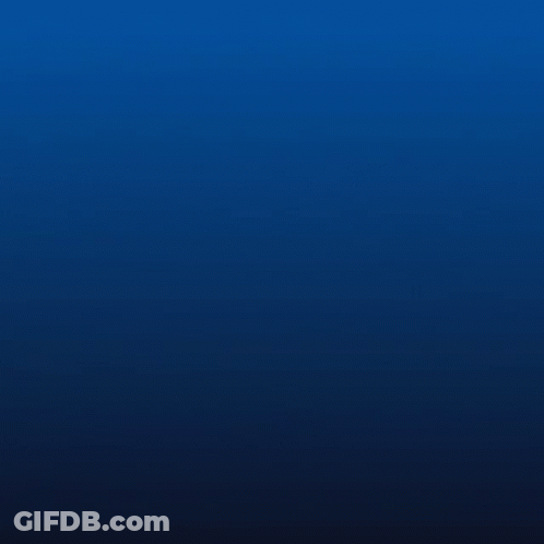 Flower Saying I Love You GIF