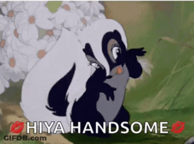 Flower Skunk Hiya Handsome GIF