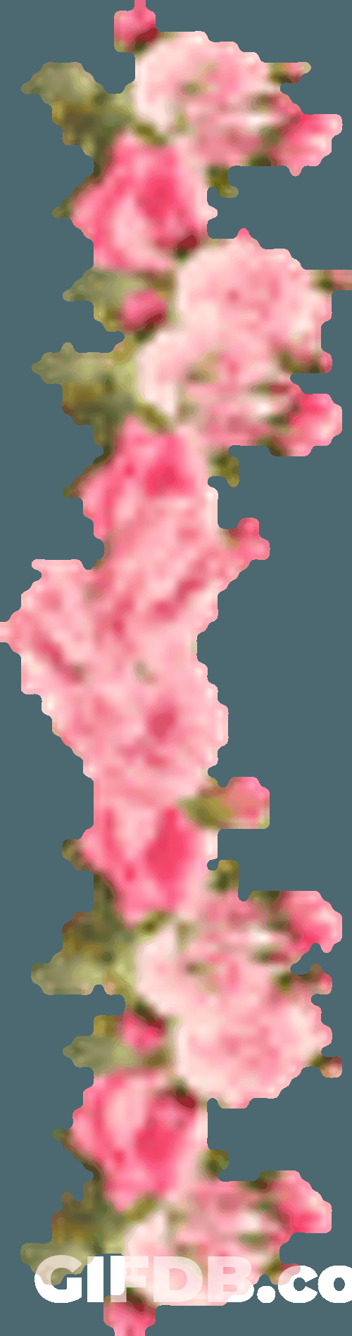 Flower Sticker GIF