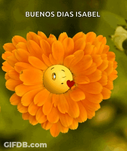 Flower With Face Saying Buenos Dias Isabel GIF