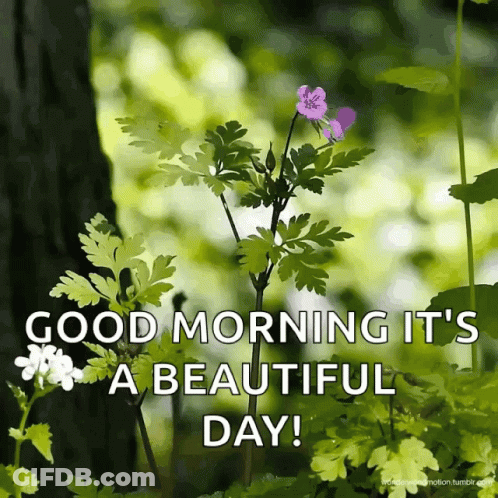 Flower With Good Morning Message GIF