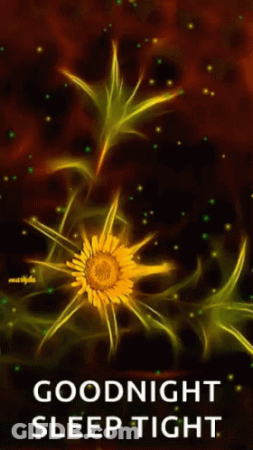 Flower With Goodnight Sleep Tight GIF
