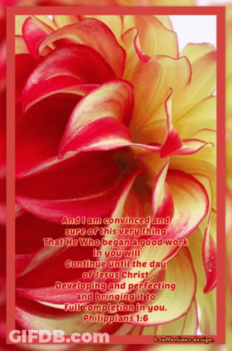 Flower With Philippians 1:8 Quote GIF