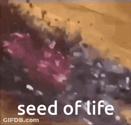 Flower With Seed Of Life Text GIF