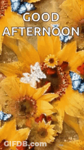 Flowers And Apples Good Afternoon GIF