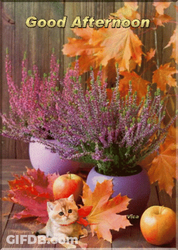 Flowers And Apples Saying Good Afternoon GIF
