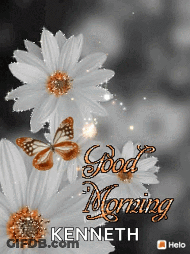 Flowers And Butterflies With Kenneth GIF