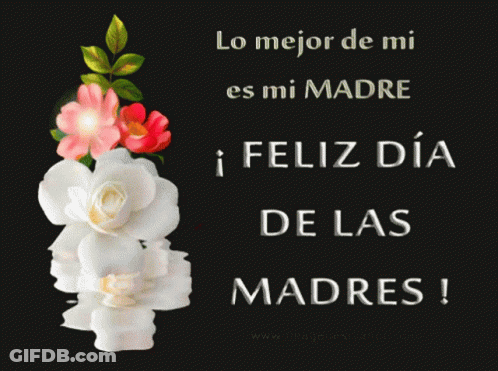 Flowers And Lo Mejor De Mi Es Mi Madre GIF