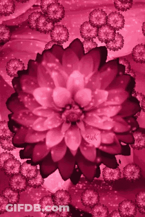 Flowers Animation GIF