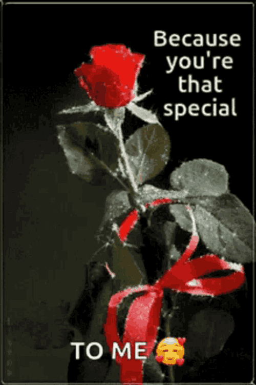Flowers Flowers For You GIF