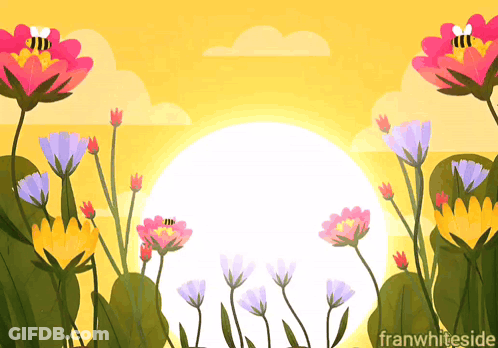 Flowers Franwhiteside GIF