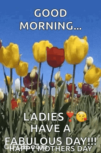 Flowers Good Morning Ladies Happy Mothers Day GIF