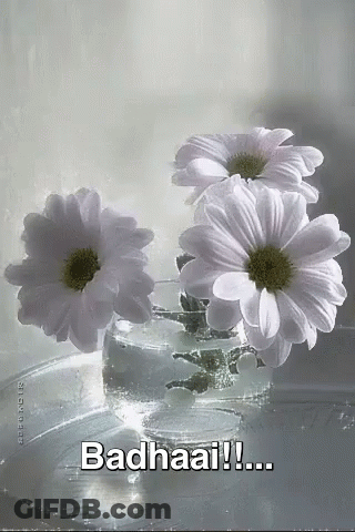 Flowers In A Vase Badhaai GIF