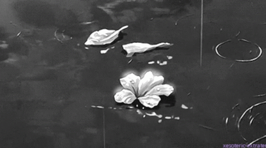 Flowers Rain GIF Dark Aesthetic GIF