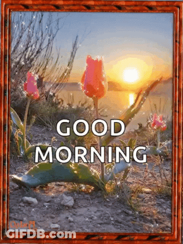 Flowers Saying Good Morning GIF