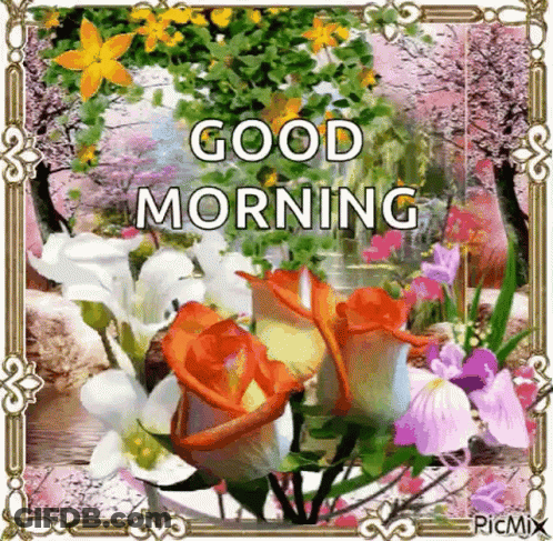 Flowers Saying Good Morning GIF