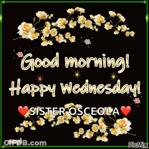 Flowers Saying Good Morning Wednesday Sister Osceola GIF