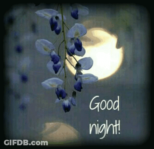 Flowers Saying Good Night GIF