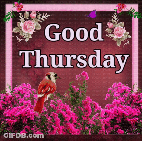 Flowers Saying Good Thursday GIF
