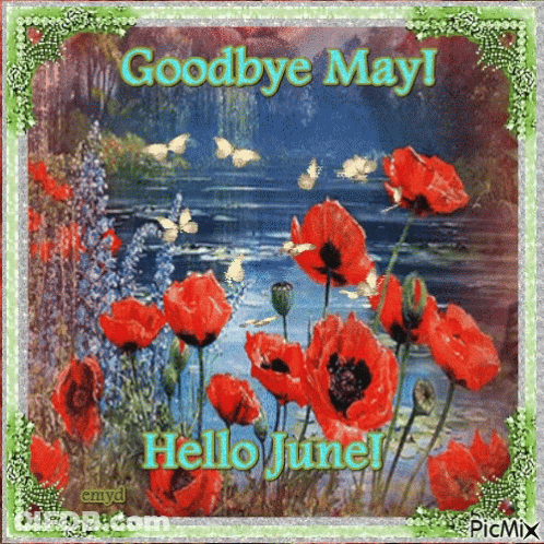 Flowers Saying Goodbye May Hello June GIF