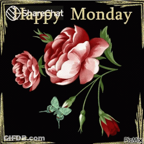Flowers Saying Happy Monday GIF