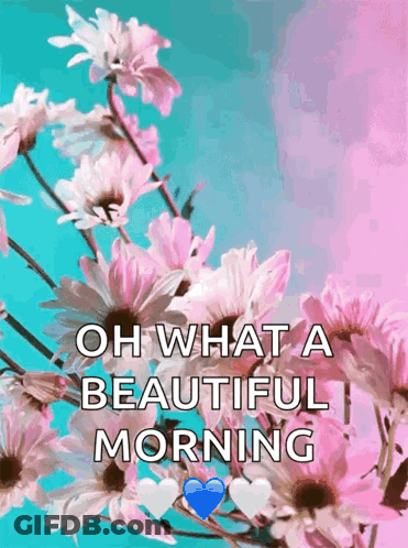 Flowers Saying Oh What A Beautiful Morning GIF