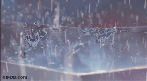 Flowers Splashing GIF