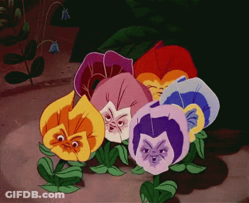 Flowers With Faces Sitting On Ground GIF