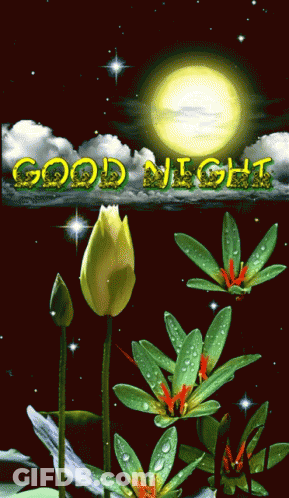Flowers With Good Night Text GIF