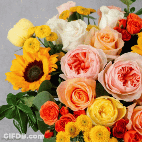 Flowers With Imgflip.com Text GIF