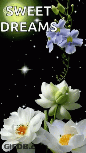 Flowers With Sweet Dreams GIF