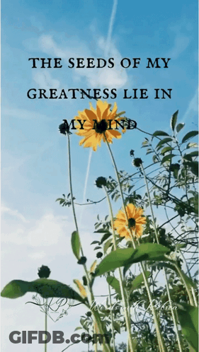 Flowers With The Seeds Of My Greatness Lie In My Mind GIF