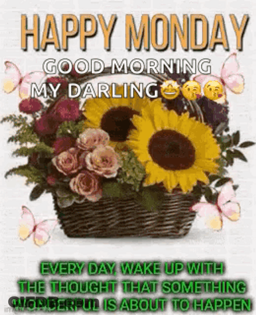 Flowery Basket Blessed Monday GIF