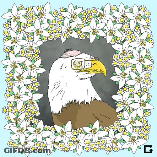 Flowery Frame Bald Eagle GIF