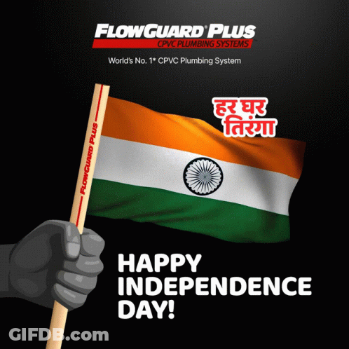 Flowguard Plus Plumbing Ad Hand Holding Flag GIF