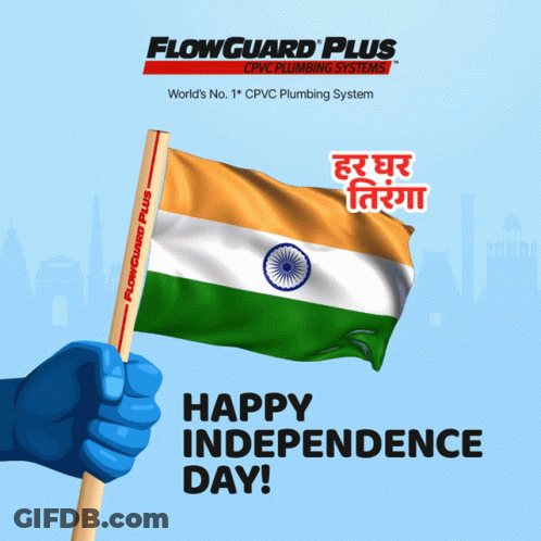 Flowguard Plus PVC Hand Holding Flag GIF