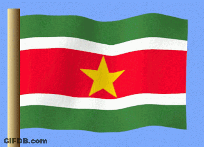 Flowing Suriname Flag GIF
