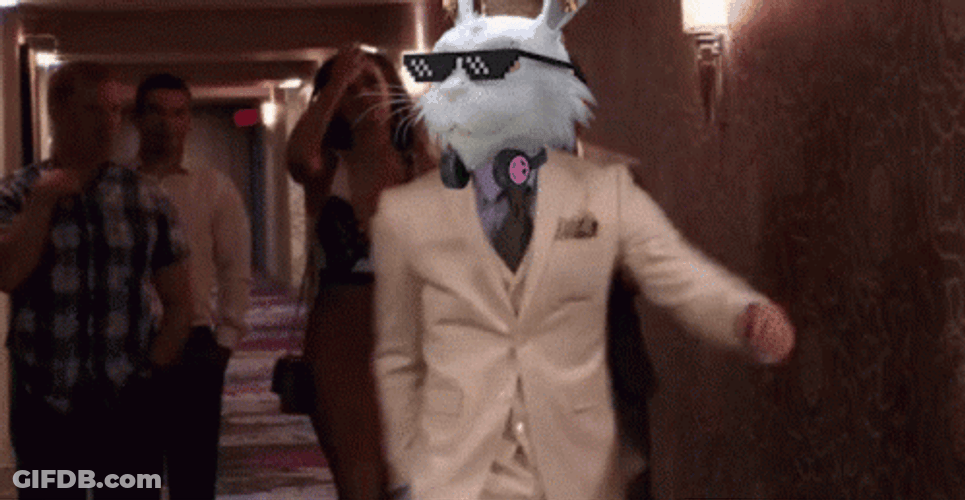 Fluf World Conor Mcgregor Walk GIF