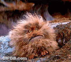 Fluffy Animal With Angry Face GIF